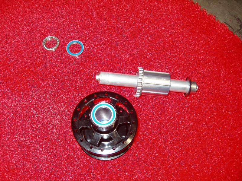P1010185.JPG