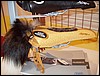 P1010108.JPG