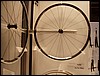 P6100014.JPG