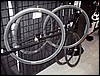 P6100015.JPG