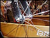 P6100026.JPG