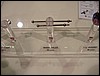 P6100041.JPG