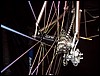 P6100046.JPG
