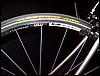 P6100047.JPG